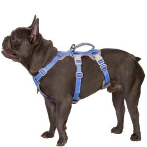 Harnesses for constrictive play
